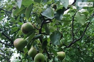 Продается одноэтажный дом 70 кв. м с балконом