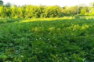 Продается земельный участок 50 соток в Хмельницкой области