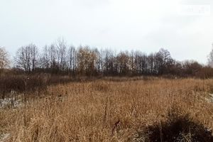 Продається земельна ділянка 35 соток у Вінницькій області