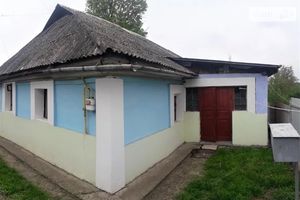 Продається одноповерховий будинок 46 кв. м з каміном