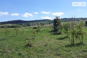 Продается земельный участок 60 соток в Львовской области