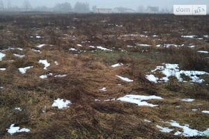 Продается земельный участок 15 соток в Ровенской области