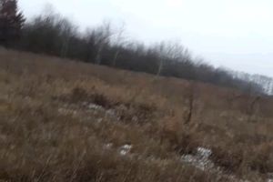 Продается земельный участок 8 соток в Киевской области