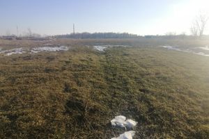 Продается земельный участок 10 соток в Черниговской области