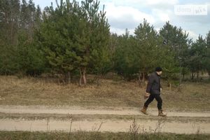 Продается земельный участок 12 соток в Черниговской области