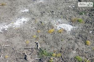 Продается земельный участок 8 соток в Винницкой области