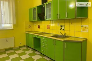Здається в оренду 1-кімнатна квартира 45 кв. м у Ужгороді